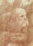 The School of Athens, detail of the cartoon depicting an elderly man, c.1510 (charcoal & white lead on paper)