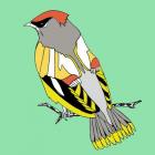 Winnie Waxwing, pen and ink, digitally coloured