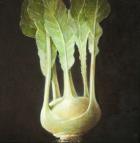 Kohl Rabi, 2012 (acrylic on canvas)