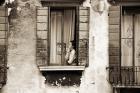 Woman gazing out of a window contemplating, 2004 (b/w photo)