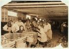 Rosy aged 8 works a 14 hour day as an oyster shucker at Dunbar Cannery, Louisiana, 1911 (b/w photo)