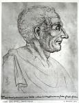 Portrait of Titus Livius known as Livy (59BC-17AD) (red chalk)