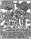 Tending Vines from 'Livre des prouffits champetres' by Petrus de Crescentiis, edition published in 1529 (woodcut)