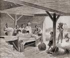Slaves working with a 19th century cotton gin on a plantation in a southern state of the United States of America, from 'The History of Our Country', published 1905 (litho)