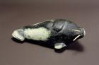 Walrus, from Cape Dorset (soapstone)