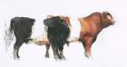 Belties, 2006 (charcoal & conte on paper)