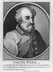 Young Parr (engraving)