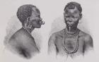 Moru woman with lip ornament, from 'The History of Mankind', Vol. III, by Prof. Friedrich Ratzel, 1898 (engraving)