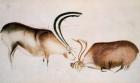 Male and female deer, Magdalenian school, c.13000 BC (cave painting)
