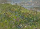 Headland Flowers near Berwick (oil on canvas)