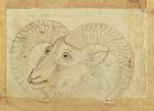 Detail of a ram from 'Transporting Ceramics (painted silk)