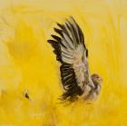 Secretary bird hunting, 2015 (oil on canvas)