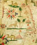 The North Coast of Africa, from a nautical atlas, 1651 (ink on vellum) (detail from 330922)