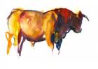 Sunset Bull, 2010 (watercolour and gouache on paper)