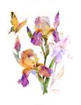 Iris with yellow butterfly, 2016, (watercolor)