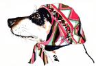 Pooch In Pucci, 2012 (pen and ink on paper)