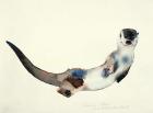 Curious Otter, 2003 (w/c on paper)