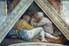 Sistine Chapel Ceiling: The Ancestors of Christ (pre restoration)