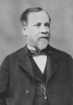 Portrait of Louis Pasteur (b/w photo)