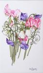 Ten Sweet Peas with Tendrils 2012 (w/c on paper)