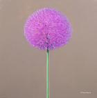 Alium (oil on canvas)