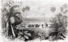 Planting the Flag on the Shores of the Indian Ocean (engraving) (b/w photo)