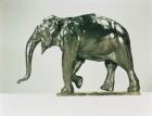 White Elephant (bronze)
