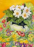 Pale Primrose in a Pot with Spring-flowered Textile,2000 (watercolour)