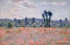 Poppy Field, c.1890 (oil on canvas)