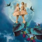 Blue Moon, 2014, (digital collage)