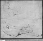 Studies for The Grande Odalisque (graphite on paper) (b/w photo) (see also 233243)