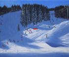 Ski school,Morzine,2014 (oil on canvas)