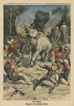 Catching a white elephant in Siam, illustration from 'Le Petit Journal', supplement illustre, 10th September 1911 (colour litho)