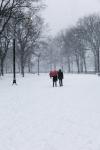 Central Park Winter Lovers