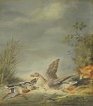 Fox and Waterfowl (oil on canvas)