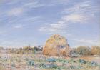 Haystack on the Banks of the Loing, 1891 (oil on canvas)