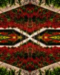 Red Flower Bed, 2015 (digital image)