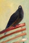 Kingly Court Pigeon, 2013, (oil on canvas)