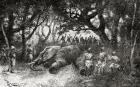 Hunting elephants in Central Africa in the late 19th century, from 'Africa Pintoresca', published 1888 (engraving)