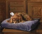 King Charles Spaniel (oil)