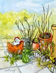 Hens and Pots, Lucy Redman Open Garden, 2000, (pencil with watercolour wash)