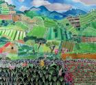 Cabbages and Lilies, Solola Region, Guatemala, 1993 (coloured inks on silk)
