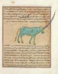 Ms E-7 fol.191b Rhinoceros, illustration from 'The Wonders of the Creation and the Curiosities of Existence' by Zakariya'ibn Muhammad al-Qazwini (gouache on paper)