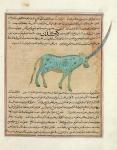 Ms E-7 fol.191b Rhinoceros, illustration from 'The Wonders of the Creation and the Curiosities of Existence' by Zakariya'ibn Muhammad al-Qazwini (gouache on paper)