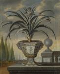Pineapple plant, 1729 (oil on canvas)