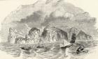 Illustration from 'Journal of Researches' by Charles Darwin (1809-82) published London 1890 (litho)