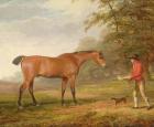 A Bay Horse Approached by a Stable-lad with Food and a Halter, 1789 (oil on canvas)