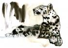 Arabian Leopard, 2008 (w/c on paper)