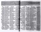 Psalm of David: Psalterim Octaplums, 1516 (engraving)