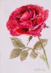 A Red Rose,2000, Water colour on handmade paper